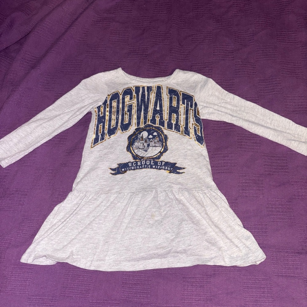 Warner Bros. Harry Potter Gray Tee with Gold and Blue Accents